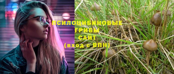 соль ск Абдулино
